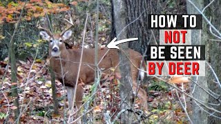 How To NOT Be Seen By Deer  How To Stay Hidden