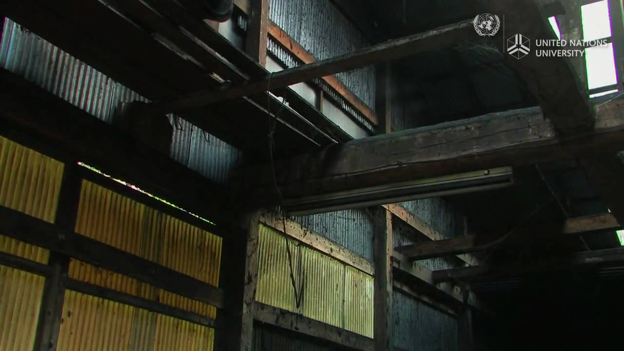 Chrysanthemum charcoal from Satoyama