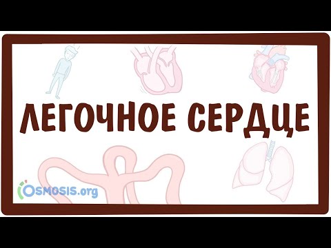 Легочное Сердце (Cor Pulmonale)