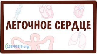 Легочное Сердце (Cor Pulmonale)