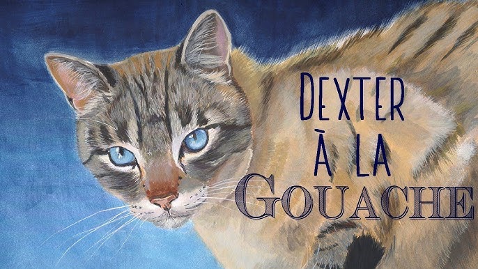 Peinture De Chat A La Gouache Youtube