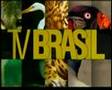 Vinheta tv brasil  brazilian public channel