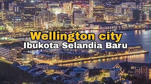 Wellington City (Selandia Baru) 2024 (DRONE VIEW) perbandingan infrastruktur dan Skyline