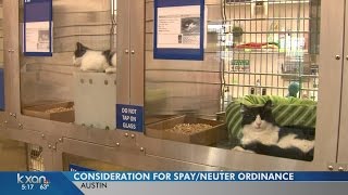 City of Austin considers spay and neuter ordinance