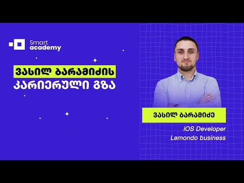 ვასილ ბარამიძის კარიერული გზა