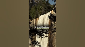 تلاوة خاشعة للشيخ ياسر الدوسري #قرآن #قران_كريم #المصحف #راحة_نفسية #quran