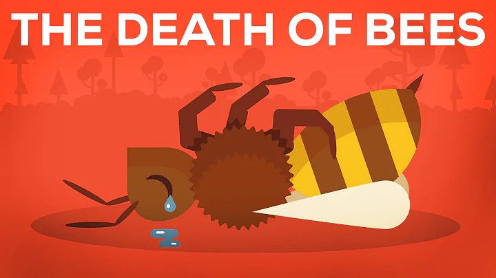 The Death Of Bees Explained – Parasites, Poison and Humans - DayDayNews