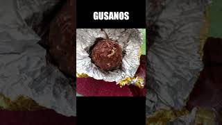 Cosas Extrañas Encontradas En Comidas 🍔🤮 #shorts