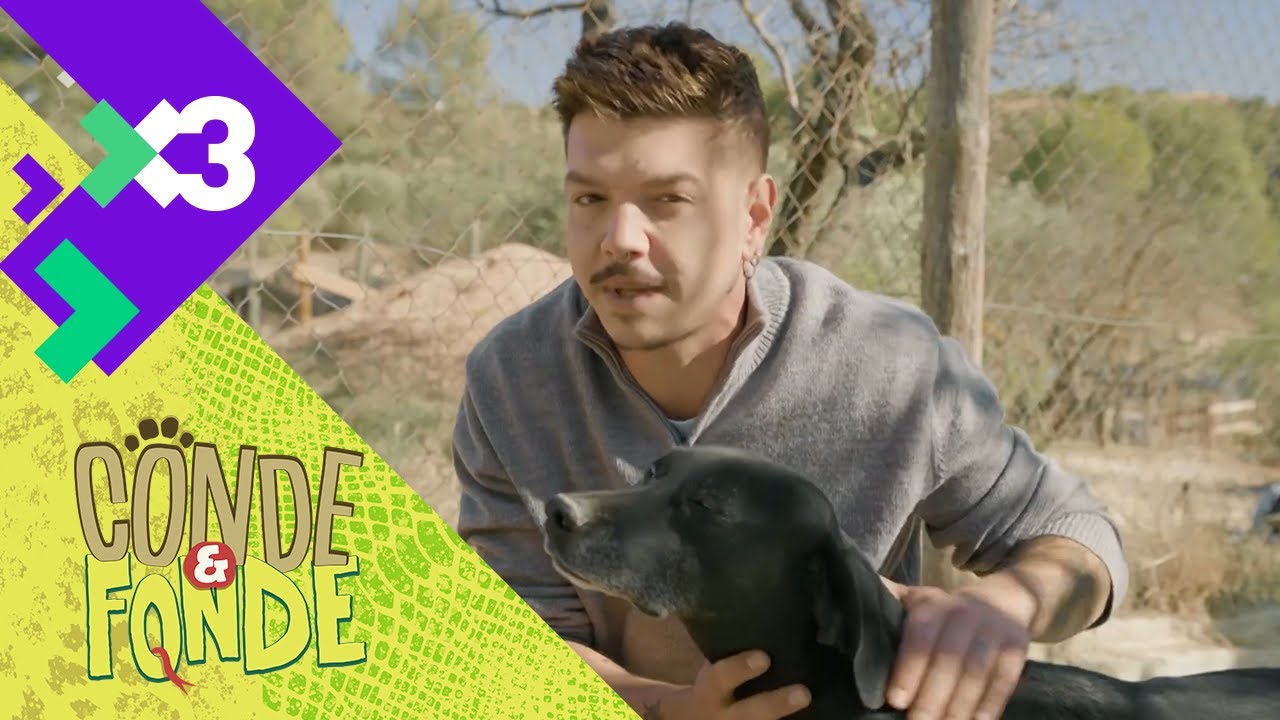 Gossos sense sostre | Conde&Fonde T1xC3