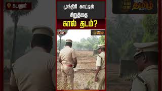 முந்திரி காட்டில் சிறுத்தை கால் தடம்?