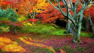 Autumn Ambient, Minimalism, Piano Music