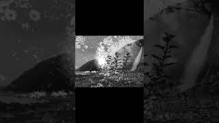 new LP by Through a Glass, Darkly #doomgaze #postrock #ambientmusic #newmusic