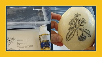 HOW TO MAKE A TRANSFER OF A PAPER IMAGE + How To Transfer Your Flexible Image Onto A Curved Surface