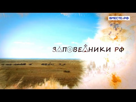 История Оренбургского заповедника. Заповедники РФ