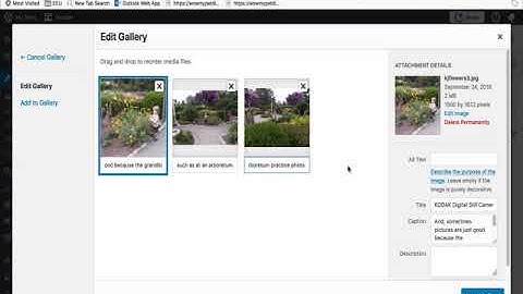 Adding captions, Alt text tags and changing photo titles in WordPress.
