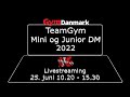 Mini og junior dm 2022  teamgym