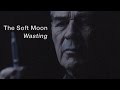 The Soft Moon - Wasting (Official Music Video)