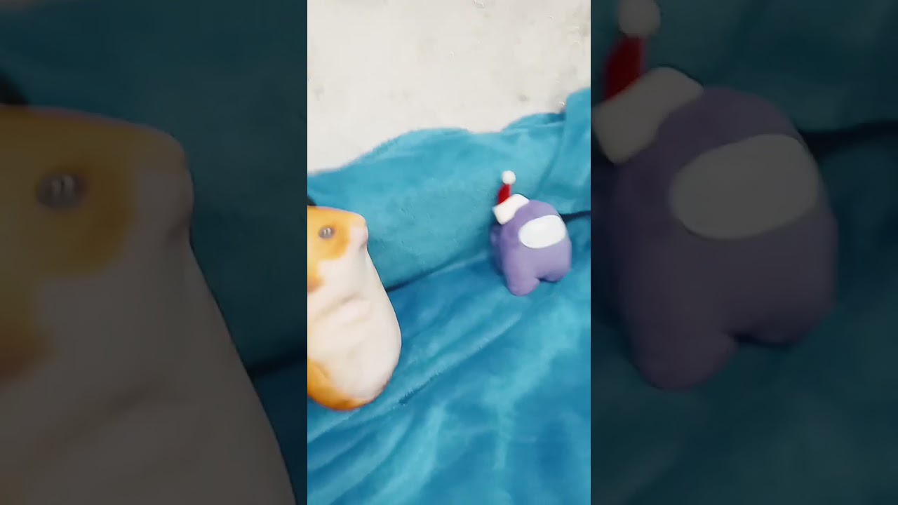 #рекомендации