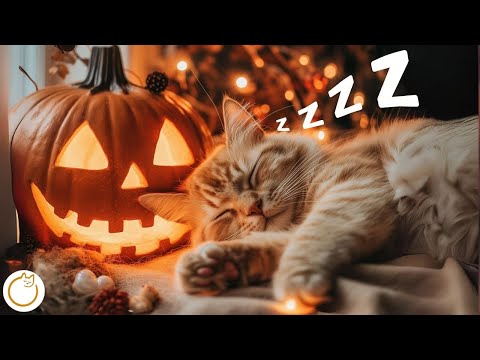 Music for Cats - Healing Cat Music Melodies 🐱💤