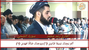 القارئ رعد محمد سورة الضحى (٩٣) ختم القران الكريم