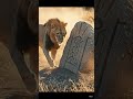 Lion POV: The Hidden Gateway Beneath the Serengeti 🦁🔥