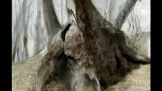showreel 2009
