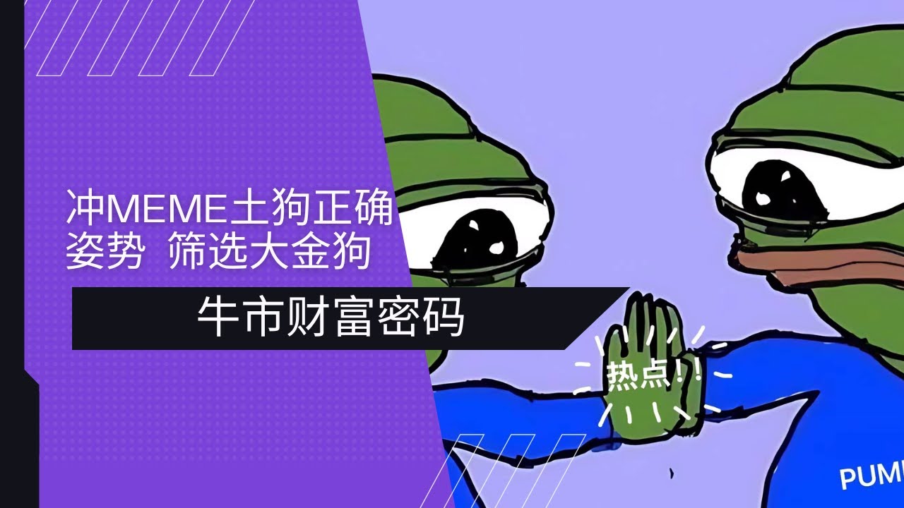 冲Meme土狗正确姿势 | 小白如何筛选大金狗？ 币圈牛市财富密码就在链上+币安 - YouTube