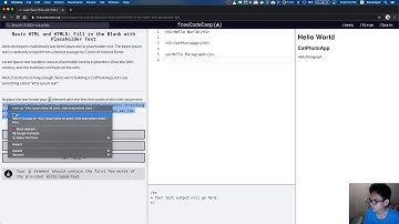 freeCodeCamp: Fill in the Blank with Placeholder Text