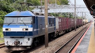 JR貨物EF210形0番台9号機(新塗装・キャラ桃)+コキ24B(両)が大磯駅を高速通過するシーン(1093レ・岡A2・コンテナ輸送)2022.6.5