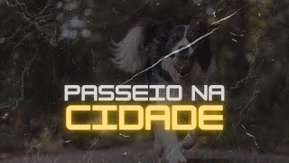 Primeiro PASSEIO NA CIDADE!