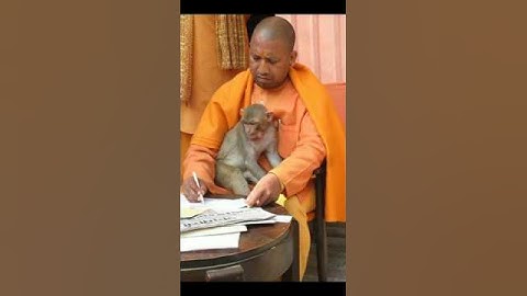 श्री हनुमान चालीसा 🌸🌸🌺🙏🏻|Shree Hanuman Chalisa | Gulshan Kumar, Hariharan | Bhakti | Devotional