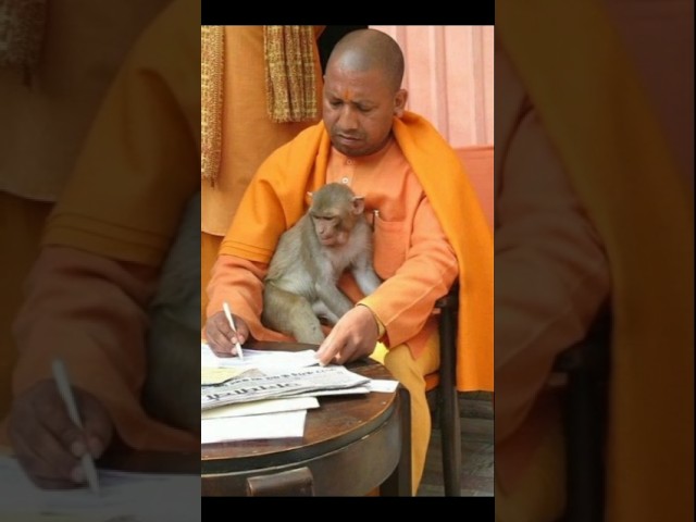   - Hindi Status Tube