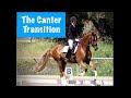 The Trot Canter Transition: Common Mistakes and Fixes