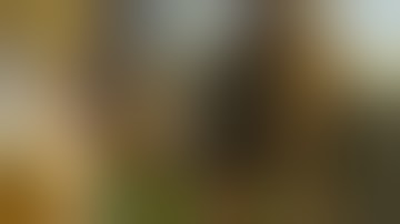 Fallout New Vegas but I ruined it with a Randomizer Mod