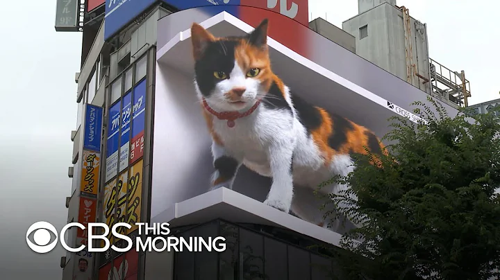 3D digital billboard image of a giant cat draws attention in Tokyo - DayDayNews