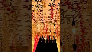 Wedding Reception Party Entry Gate#Instrumental Music Sound#Short Video #Short Video Download