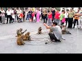 中国农村大叔街头耍猴反被波猴举菜刀往头上砍，是真砍还是假砍？Man monkey war staged on the street!