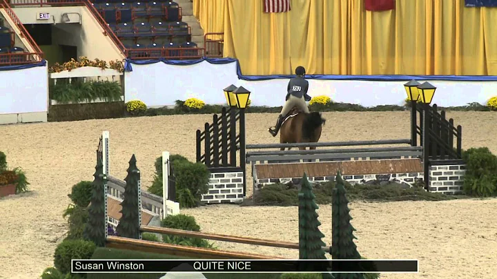 787 QUITE NICE Susan Winston, Class 132 Amateur Ow...