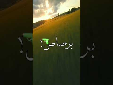 الحب بقالو سعر خاص مصممين