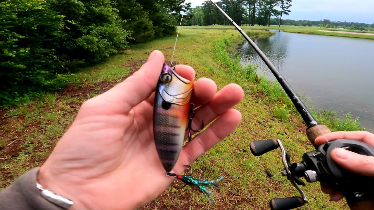 bass fishing a new popper