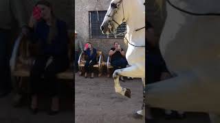 Download Lagu la apoma MP3