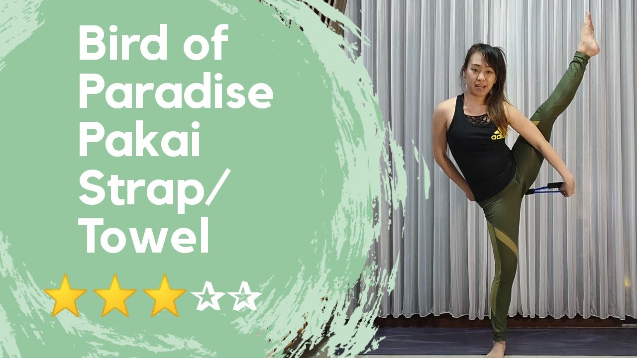 12+ Inverted Bird Of Paradise Yoga Yoga Poses