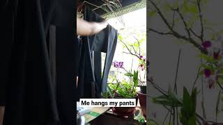 hang me out to dry #shorts #moms