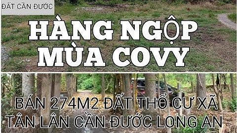 (🌐đất đã bán)CẦN ĐƯỚC " bán đất thổ cư 9 chủ xã tân lân cần đước Long An.