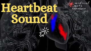 Hearbeat Sound Effect Animation 3D - Cardiac Cycle - Explanation In The Description.