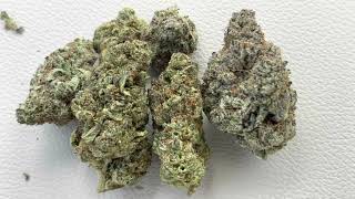 WHITE BACIO 💸Ⓜ️ MIAMI STREET EXOTIC • THE420WORLD