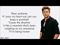 Niall Horan - Dear Patience (lyrics)