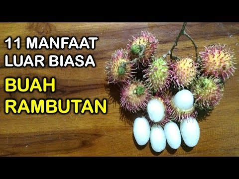 Video: 11 Manfaat Kesehatan Luar Biasa Dari Rambutan