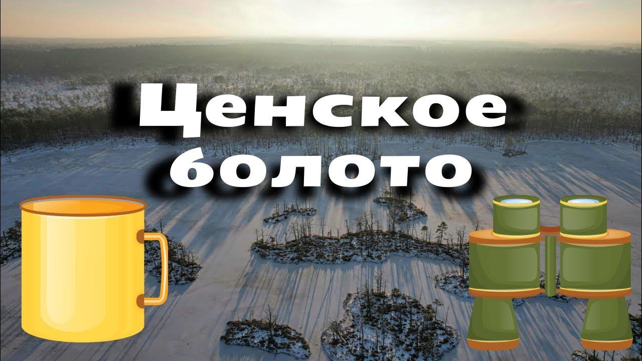 Природная тропа Ценского болота. Хайкинг в Латвии. Кинематографичное ...