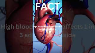 High Blood Pressure Fact.highbloodpressure bloodpressurecontrol bloodpressureproblems